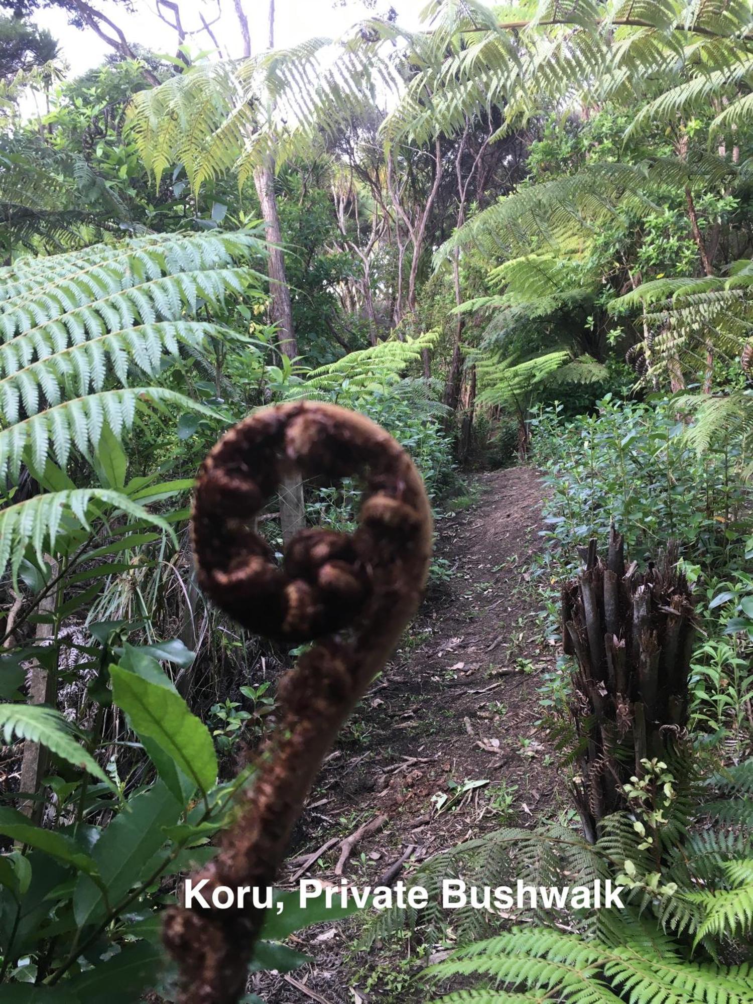 Te Henga Hideaway Villa Bethells Beach Eksteriør bilde