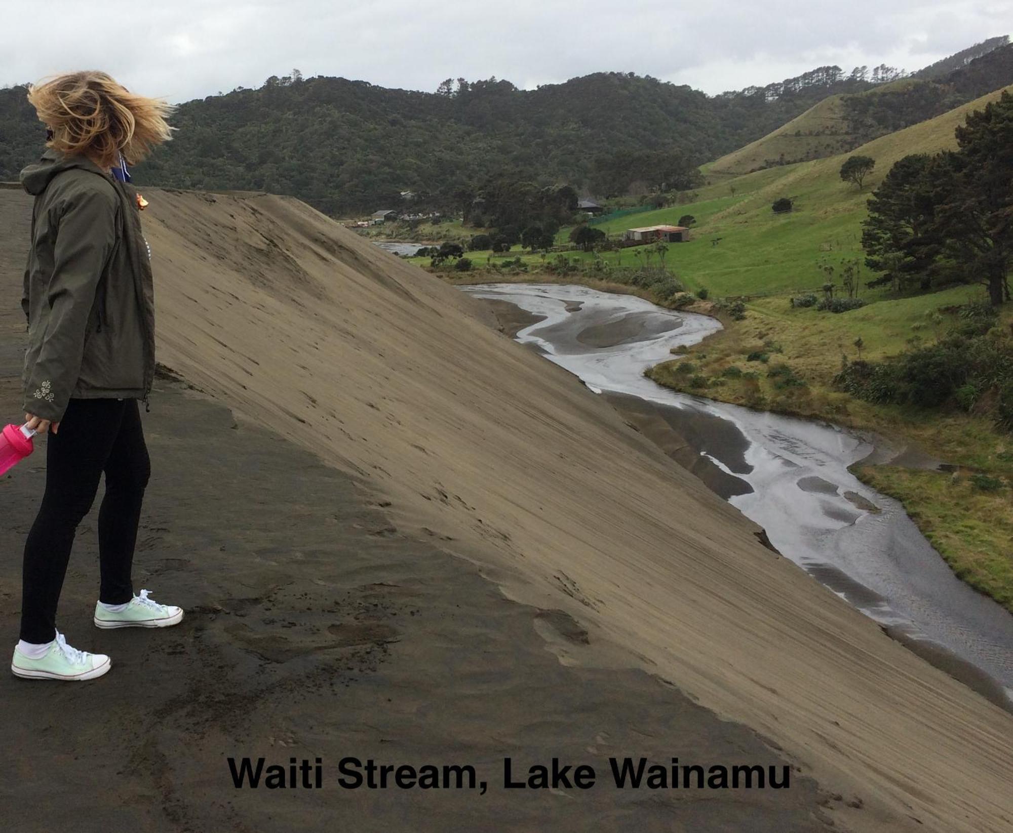 Te Henga Hideaway Villa Bethells Beach Eksteriør bilde