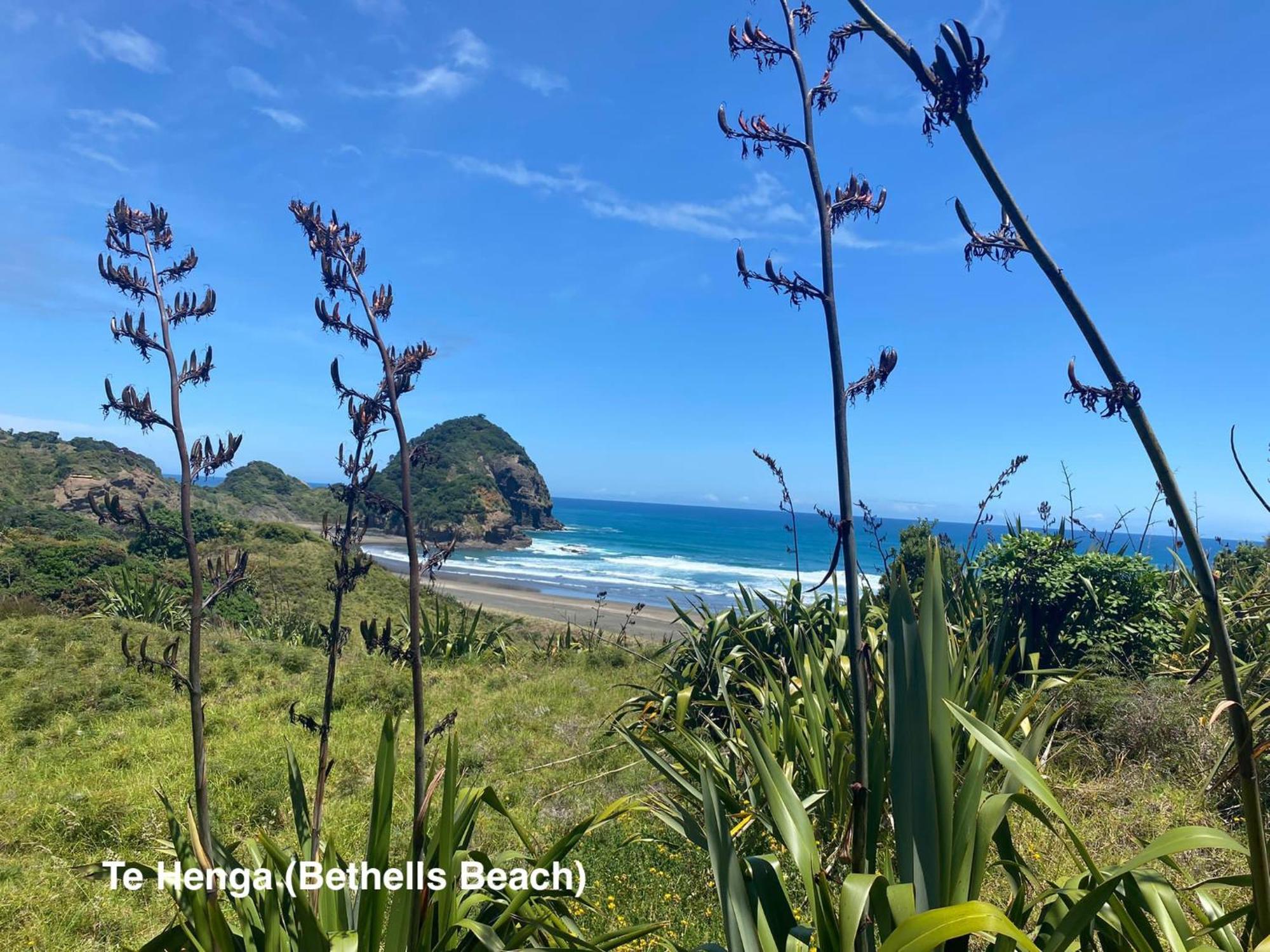 Te Henga Hideaway Villa Bethells Beach Eksteriør bilde